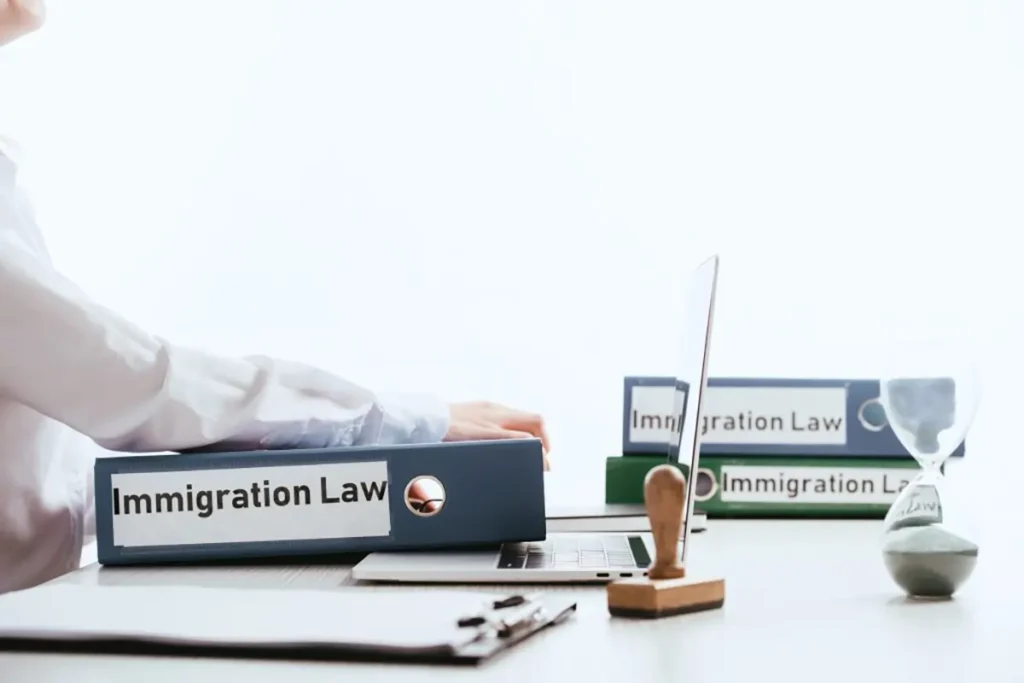 immigration Law files
